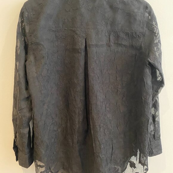 Club Monaco Sheer Button-down Blouse - Picture 3 of 5